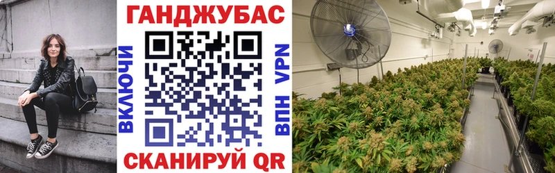 МАРИХУАНА Amnesia  omg как войти  Иркутск 